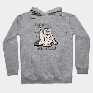 Karma Cat in Color Hoodie